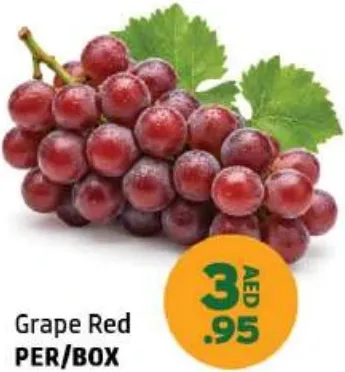 Grape Red
