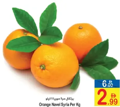 Orange Navel Syria