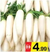 Radish White