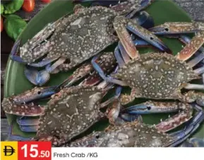 Fresh Crab