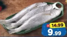 Salmon Kora Fish