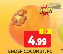 جوز هند طري
