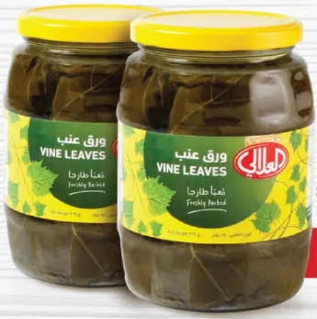 العلالي ورق عنب