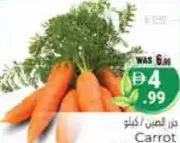 جزر صيني اكغ