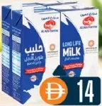 العين حليب Uht كامل الدسم