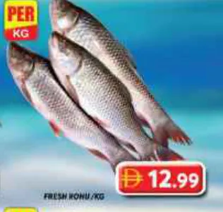 Fresh Rohu