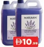 Marjaan Floor Cleaner