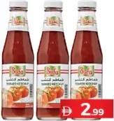 Safa كاتشب طماطم هيلمانز