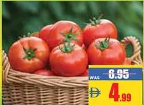 Tomato Iran