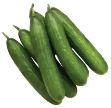 Organic Cucumber