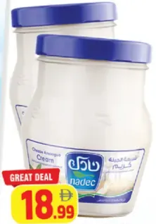 Nadec جبن كريمي برطمان