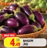 Baigon