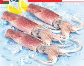 Fresh Squid