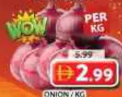 Onion