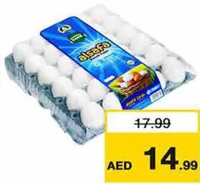 Al Safa بيض اقتصادي صغير الصفا
