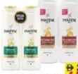Pantene Shampoo Assorted
