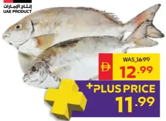 Fresh Safi