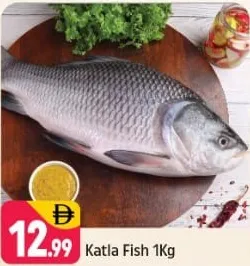 Katla Fish