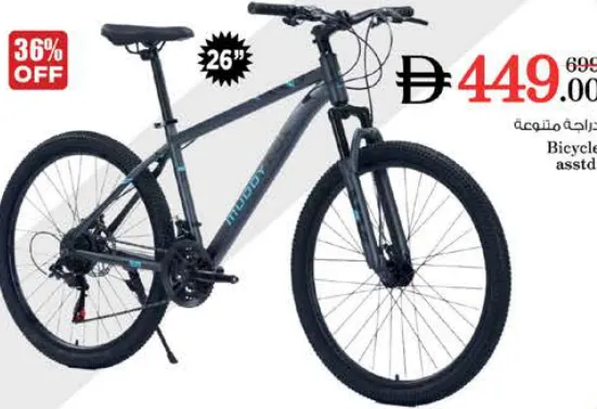 Bicycle