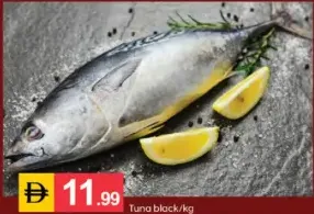 تونة سوداء