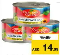 C/G Skipjack Tuna In Sf Oil