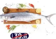 Kingfish Whole