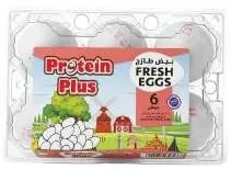 Protein Plus بيض طازج