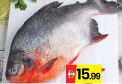 Roop Chand (Chinese Pomfret)