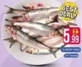 Sardines