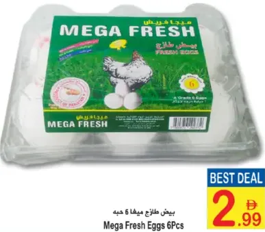 Mega Fresh بيض