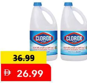 Clorox Bleach