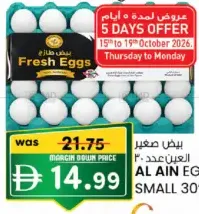 Al Ain Egg Small