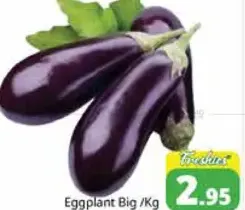 باذنجان كبير