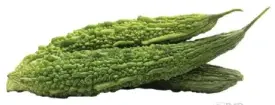 Bitter Gourd