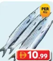 Thinda Baracuda