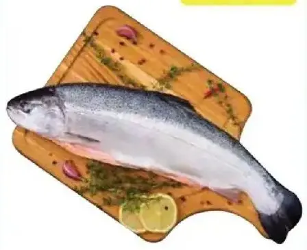 Salmon Whole (Norway)