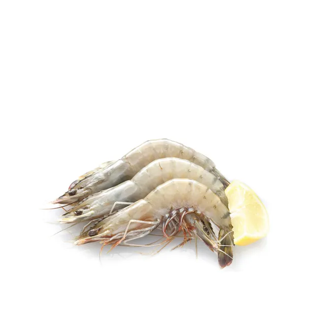 Shrimps 30 40