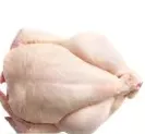 Chicken Fresh
