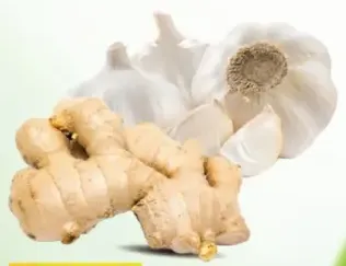 ثوم صيني/زنجبيل الصين