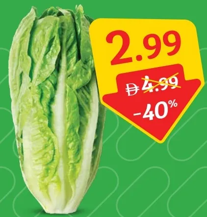 Lettuce Romaine Pack
