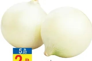 بصل أبيض