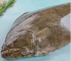 Fish Halibut