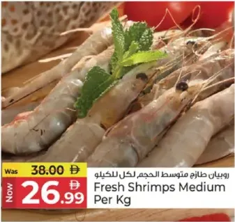 روبيان طازج متوسط الحجم للكيلوغرام