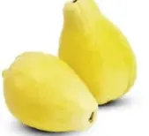 جوافه مصرية
