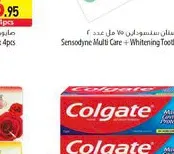 Colgate Toothpaste Regular