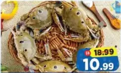 Crab - Medium