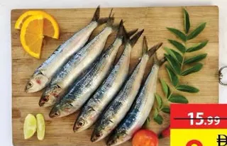 Fresh Sardines Big
