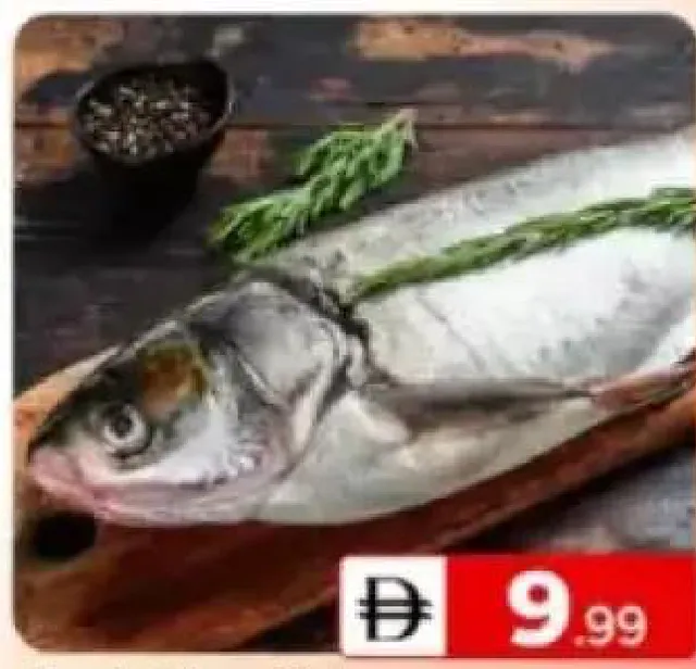 Fresh Silver Fish