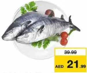 سمك كنعد وسط كامل