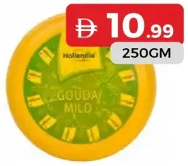 Lifco Hollandia جبنة جودة معتدلة